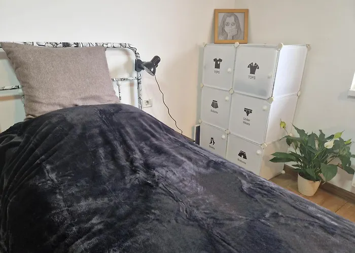 The Ozzy Room